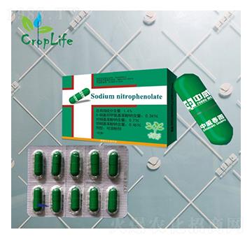 ����1̖(h��o)���z�ң�-��(��i)��˹����