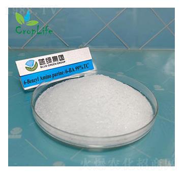 6-�S��������-����˹����