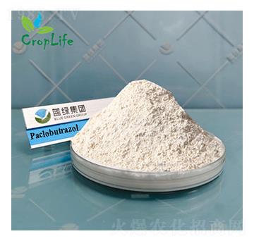 ��Ч��-����˹����