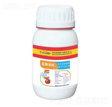 ��¡����-¡��?du��)? />
                                </div>
                            </div>
                            
                            <style type=