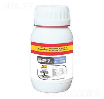 福跟深-隆戈?duì)? />
</div>
</div>
<style type=