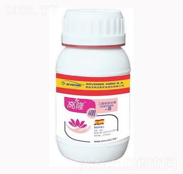 高隆硼-隆戈?duì)? />
</div>
</div>
<style type=