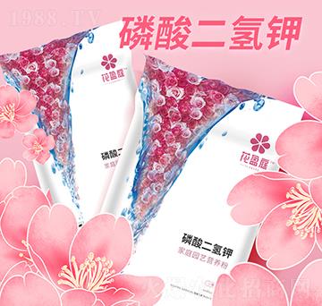 ��������-�A��(qi��ng)����