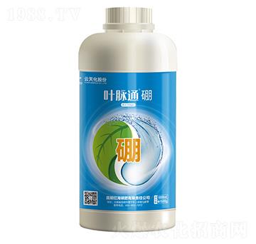 �~�}ͨ����-���컯