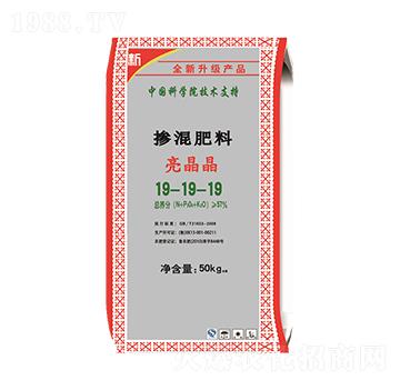 �������19-19-19-������-��M�}(c��ng)