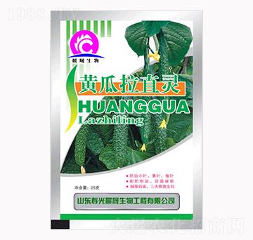 黃瓜拉直靈-晨晟生物