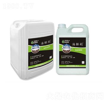 ���☋(g��u)�ߝ�s�~(y��)����-������