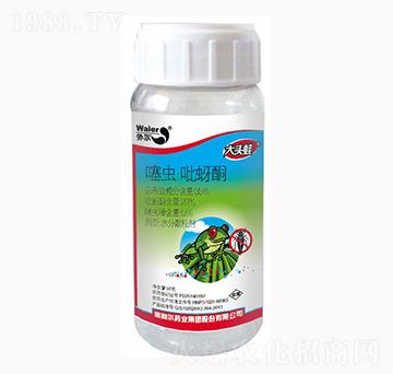 35%���x����ͪ-���^��-������