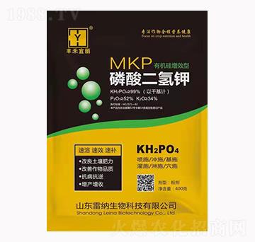 �ЙC����Ч����������-�׼{����