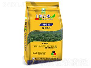 ʮ��Ԫ�؏�(f��)�Ϸ���15-11-14����ĸ�ʣ�-�fֲ