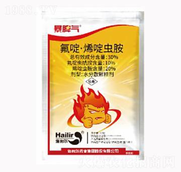 ���ϩ��x��-��Ƣ��-������