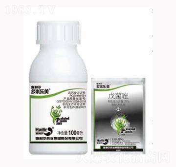 ���ט���-������