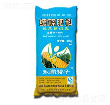 �L(zh��ng)Ч�����;�ጷ���27-10-13-���i���-���i�r(n��ng)�I(y��)