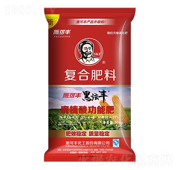 ���׌��Ï�(f��)�Ϸ���27-4-6-�����S-ʩ���S