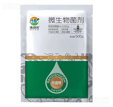 ����������Ƭʢ��-�ֳ�Ԫ