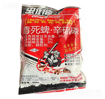 5%�����硤������-�x��ù-��̩