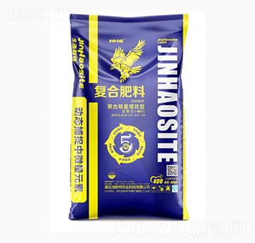 �񲶏�(f��)�Ϸ���16-14-16-����