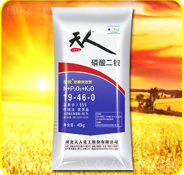 40kg������@19-