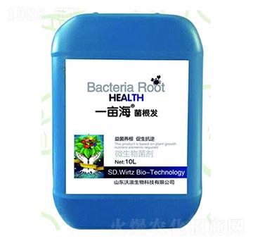 微生物菌劑-一畝海菌根發(fā)-沃滋生物