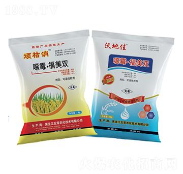 �fù�������p-�峣