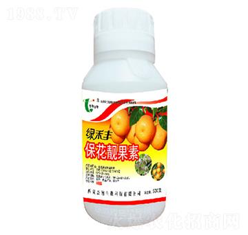 �����n����-�G���S-��������