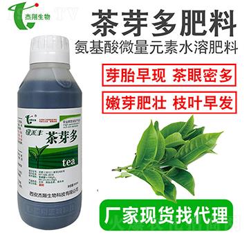 ���~�~���-��ѿ��-��������