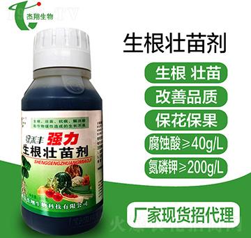 �����������焩-��������