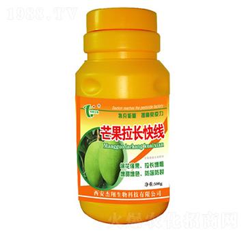 â�����L(zh��ng)�쾀-��������