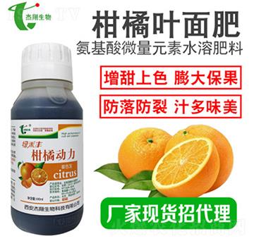 ���ل�����ɫ��-��������