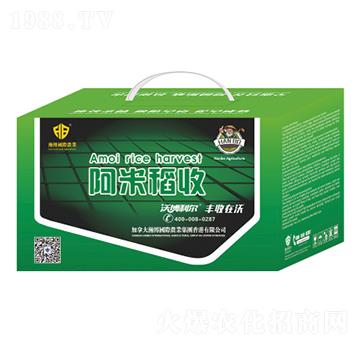 ���׵���-¡������