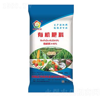 �ЙC����-����ꖹ�