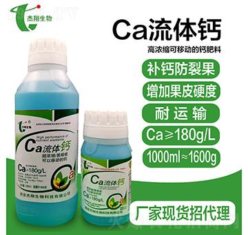 ���w�}-��������