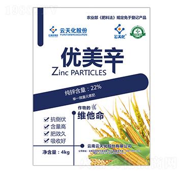 ��(y��u)����-���컯-���o����