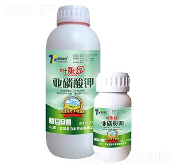 �������-�~����-���S����