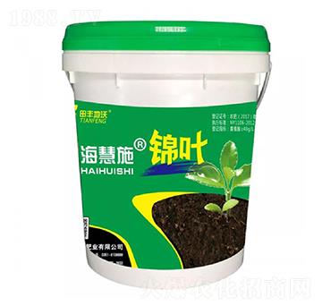 �\�~-����ʩ-���S����