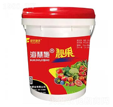 �n��-����ʩ-���S����