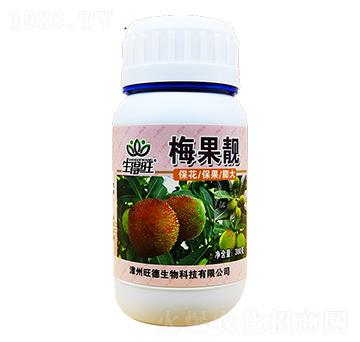 ÷���n��-÷�_���Y���ڌ��÷�-������-��������