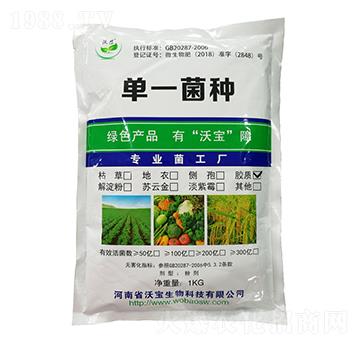 �z�|ѿ�ߗU��-�֌�����