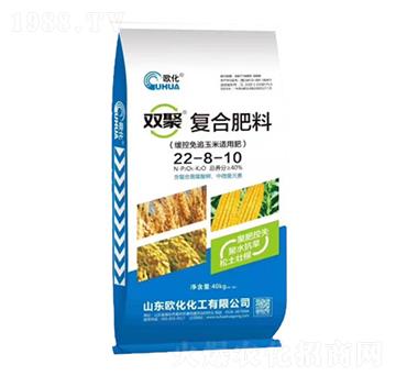 �p�ۏ�(f��)�Ϸ���22-8-10-�W��