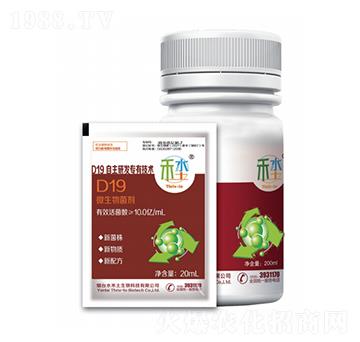 D19΢�������-ˮ��������