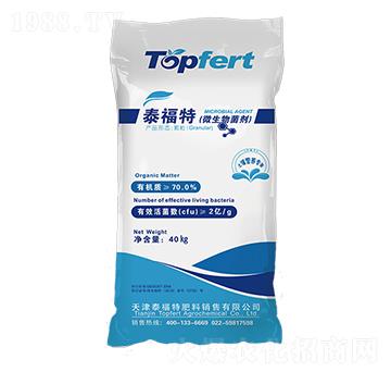 ΢�������-̩���ط���