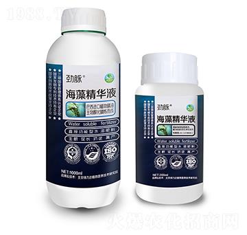 ���徫�AҺ-���}