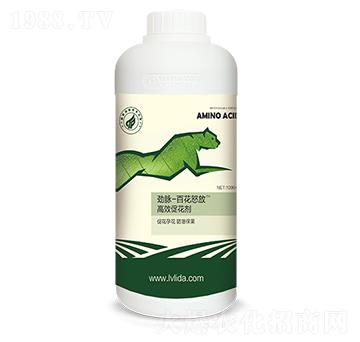 ��Ч�ٻ���-�ٻ�ŭ��-���}