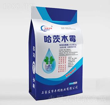 ����ľù-�S�T���r