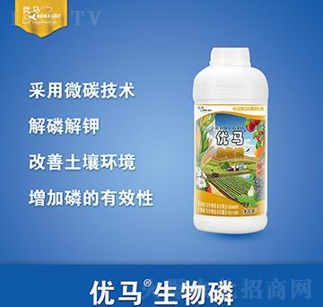 ������-��(y��u)�R����