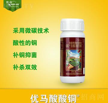 ��(y��u)�R�����~-��(y��u)�R����