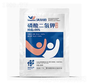 ��������-�֠��~