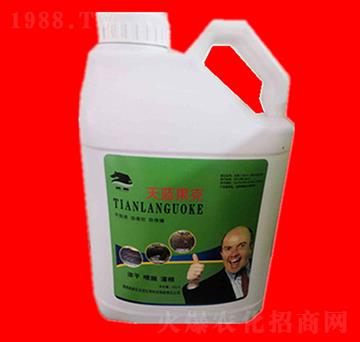 ���{����-���R�ʘI(y��)