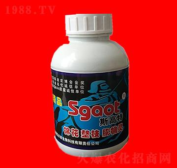 �޻���֦�����`-˹����-���R�ʘI(y��)