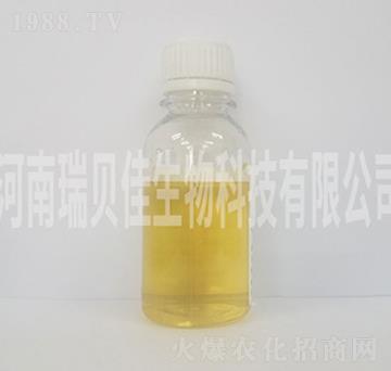 Һ�w��-��ؐ������